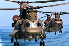 Chinooks