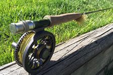 Fishing Rod